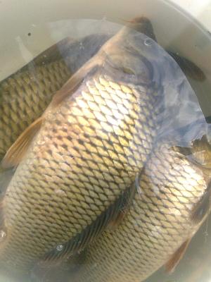 Прикрепленное изображение: Фото0024.jpg